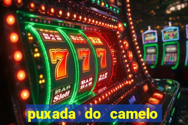 puxada do camelo no jogo do bicho